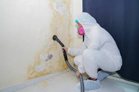 Why You Should Choose Our Mold Remediation Services in Auburn, GA